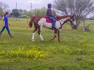 Equine Therapy at Timber Hill Farm