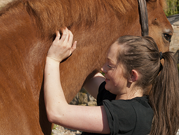 Equine Therapy at Timber Hill Farm